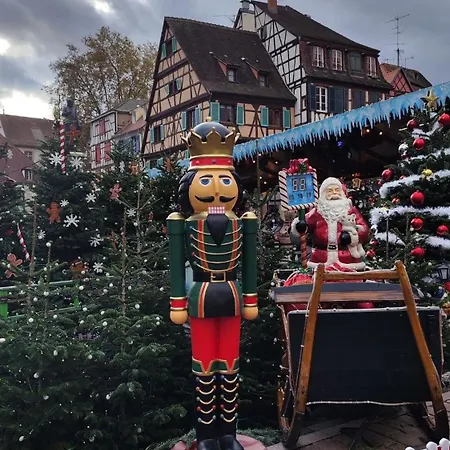 La Maison Du Vignoble * Pfaffenheim